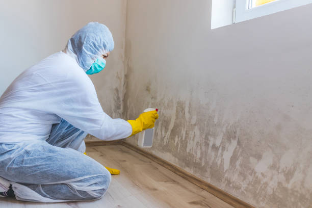 Mold Remediation specialist working in Lancaster